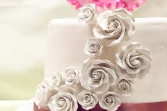 Wedding & Shower Cake #129