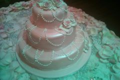 Wedding & Shower Cake #143