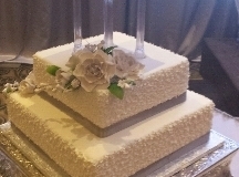 Wedding & Shower Cake #144