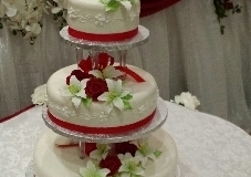 Wedding & Shower Cake #146