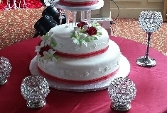 Wedding & Shower Cake #147
