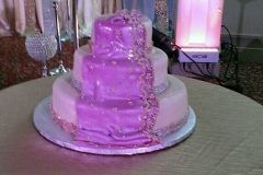 Wedding & Shower Cake #161