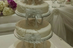 Wedding & Shower Cake #162