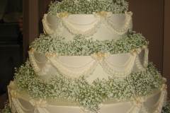 Wedding & Shower Cake #172