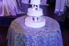 Wedding & Shower Cake #183