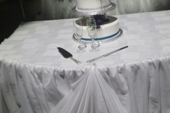 Wedding & Shower Cake #186