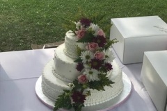 Wedding & Shower Cake #187
