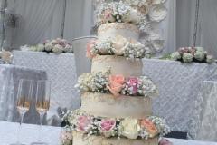 Wedding & Shower Cake #191