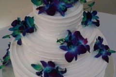 Wedding & Shower Cake #193