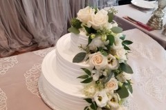 Wedding & Shower Cake #204