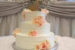 Wedding & Shower Cake #209