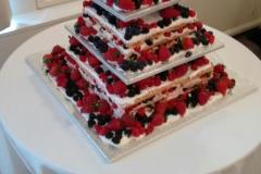 Wedding & Shower Cake #211