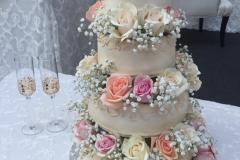 Wedding & Shower Cake #215