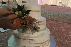 Wedding & Shower Cake #217