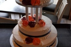 Wedding & Shower Cake #221