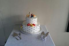 Wedding & Shower Cake #226