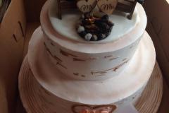 Wedding & Shower Cake #230